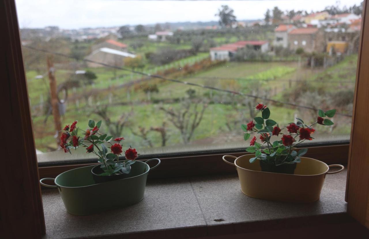 Casa D'Avo Serra Da Estrela セイア エクステリア 写真