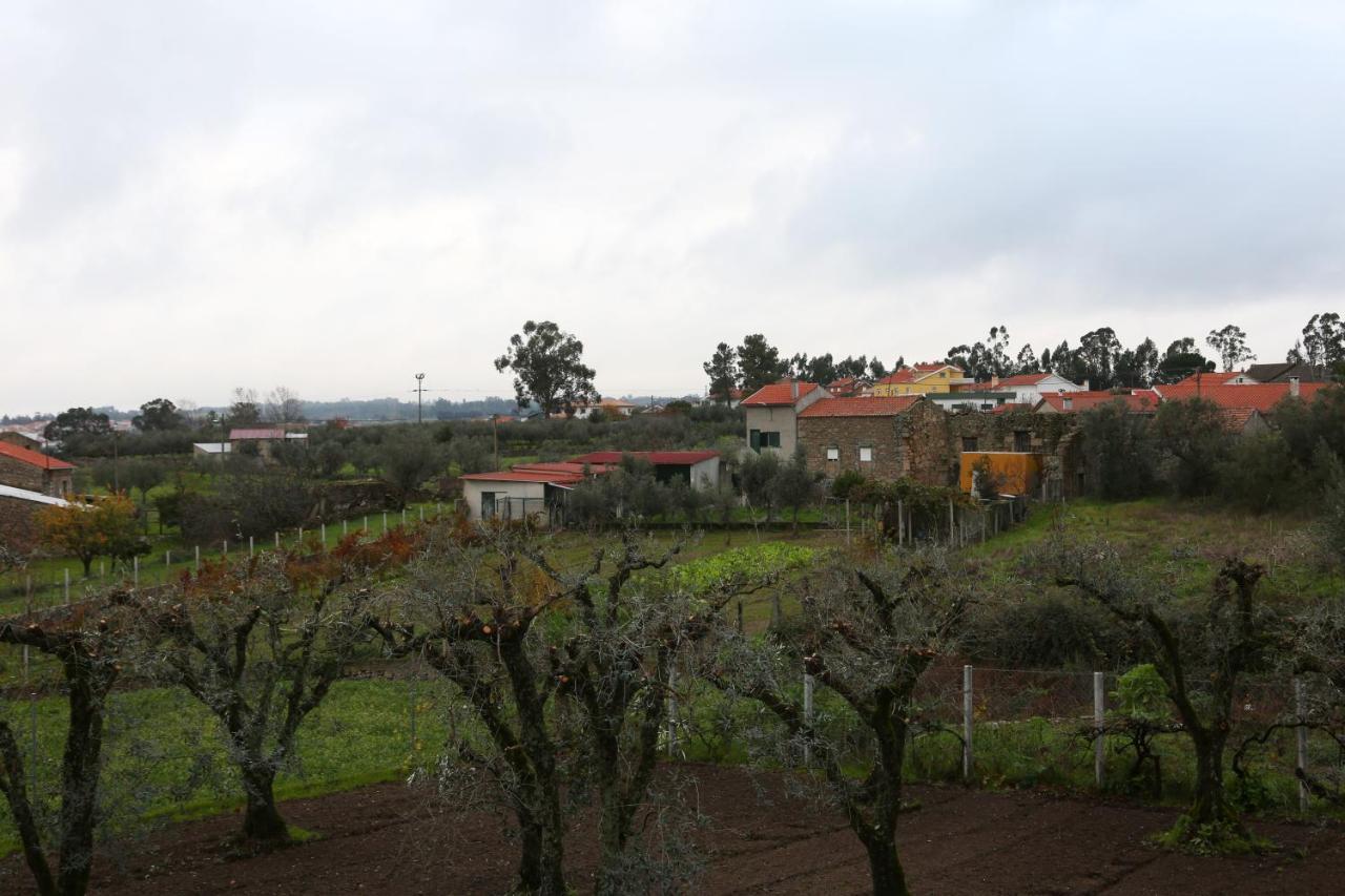 Casa D'Avo Serra Da Estrela セイア エクステリア 写真